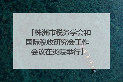 株洲市税务学会和国际税收研究会工作会议在炎陵举行