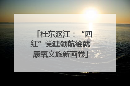 桂东沤江：“四红”党建领航绘就康氧文旅新画卷