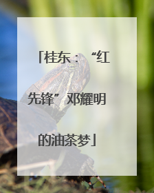 桂东：“红先锋”邓耀明的油茶梦