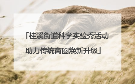 桂溪街道科学实验秀活动助力传统商圈焕新升级