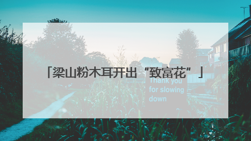 梁山粉木耳开出“致富花”