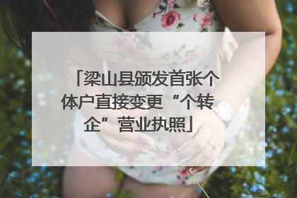 梁山县颁发首张个体户直接变更“个转企”营业执照