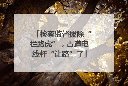 检察监督拔除“拦路虎”，占道电线杆“让路”了