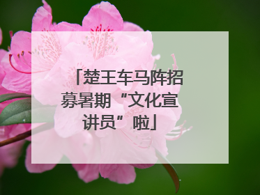 楚王车马阵招募暑期“文化宣讲员”啦