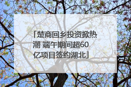 楚商回乡投资掀热潮 端午期间超60亿项目签约湖北