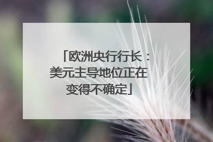 欧洲央行行长：美元主导地位正在变得不确定