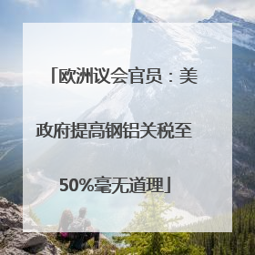 欧洲议会官员：美政府提高钢铝关税至50%毫无道理