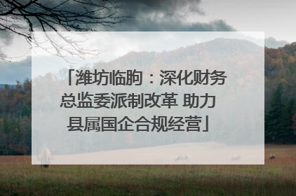 潍坊临朐：深化财务总监委派制改革 助力县属国企合规经营