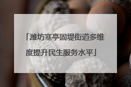 潍坊寒亭固堤街道多维度提升民生服务水平