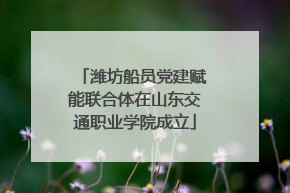 潍坊船员党建赋能联合体在山东交通职业学院成立