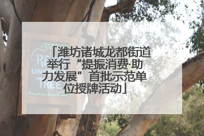 潍坊诸城龙都街道举行“提振消费·助力发展”首批示范单位授牌活动