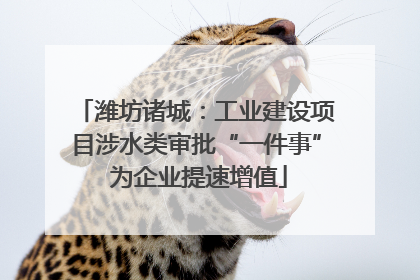 潍坊诸城:工业建设项目涉水类审批“一件事” 为企业提速增值
