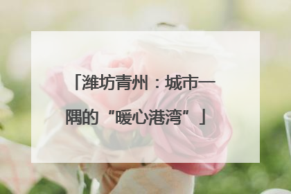 潍坊青州：城市一隅的“暖心港湾”