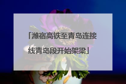 潍宿高铁至青岛连接线青岛段开始架梁