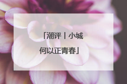 潮评丨小城何以正青春