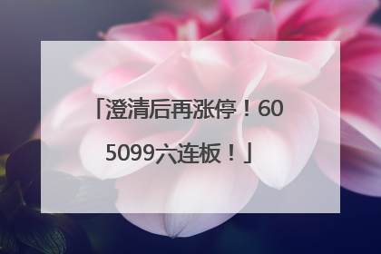 澄清后再涨停！605099六连板！