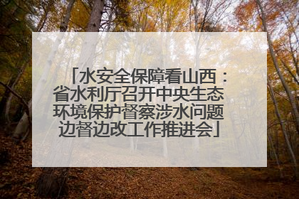 水安全保障看山西：省水利厅召开中央生态环境保护督察涉水问题边督边改工作推进会