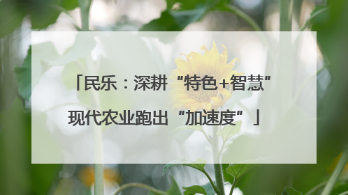 民乐：深耕“特色+智慧”现代农业跑出“加速度”