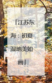 江苏东海：初夏湿地美如画