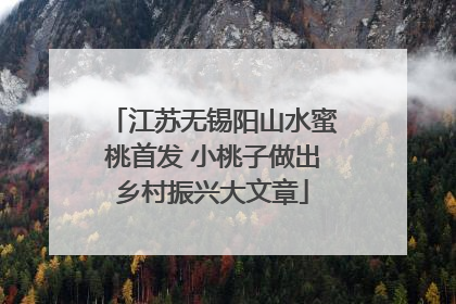 江苏无锡阳山水蜜桃首发 小桃子做出乡村振兴大文章