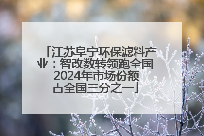 江苏阜宁环保滤料产业：智改数转领跑全国 2024年市场份额占全国三分之一