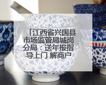 江西省兴国县市场监管局城岗分局：送年报指导上门 解商户服务难题