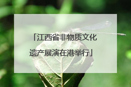 江西省非物质文化遗产展演在港举行