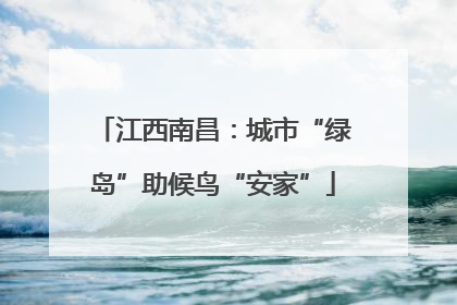 江西南昌：城市“绿岛”助候鸟“安家”