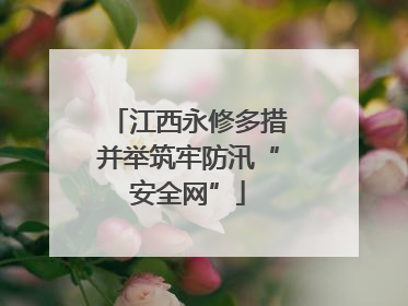 江西永修多措并举筑牢防汛“安全网”