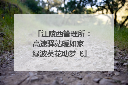 江陵西管理所：高速驿站暖如家 绿波葵花助梦飞