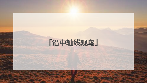 沿中轴线观鸟