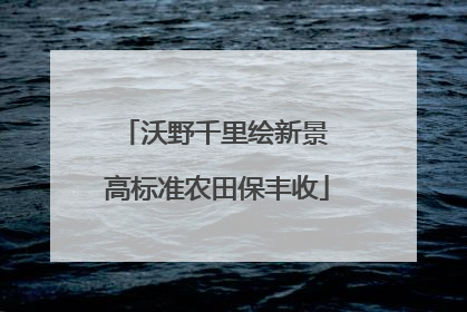 沃野千里绘新景 高标准农田保丰收