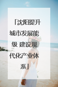 沈阳提升城市发展能级 建设现代化产业体系