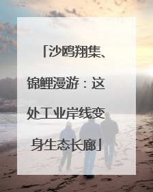 沙鸥翔集、锦鲤漫游：这处工业岸线变身生态长廊