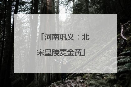 河南巩义：北宋皇陵麦金黄