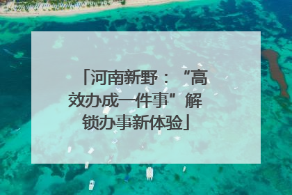河南新野：“高效办成一件事”解锁办事新体验
