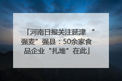 河南日报关注延津 “强麦”强县：50余家食品企业“扎堆”在此