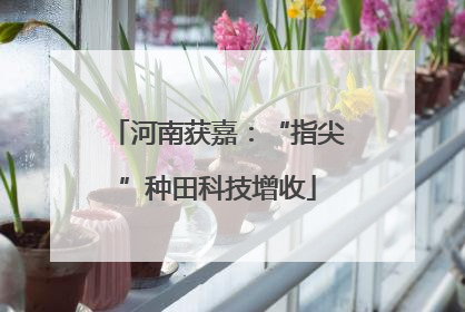 河南获嘉：“指尖”种田科技增收