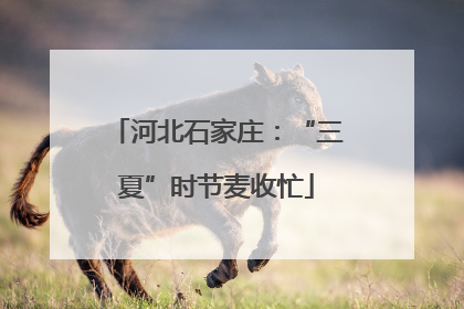河北石家庄：“三夏”时节麦收忙