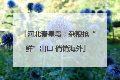 河北秦皇岛：杂粮抢“鲜”出口 俏销海外