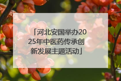 河北安国举办2025年中医药传承创新发展主题活动
