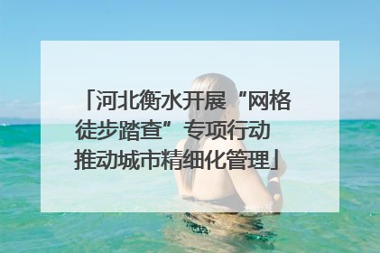 河北衡水开展“网格徒步踏查”专项行动 推动城市精细化管理