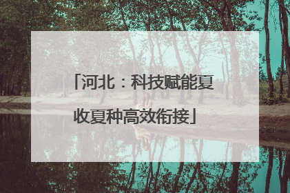 河北：科技赋能夏收夏种高效衔接