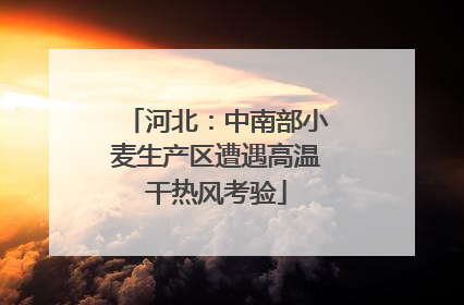 河北：中南部小麦生产区遭遇高温干热风考验