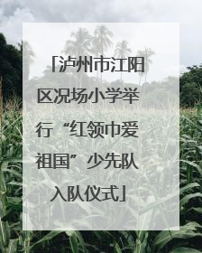 泸州市江阳区况场小学举行“红领巾爱祖国”少先队入队仪式