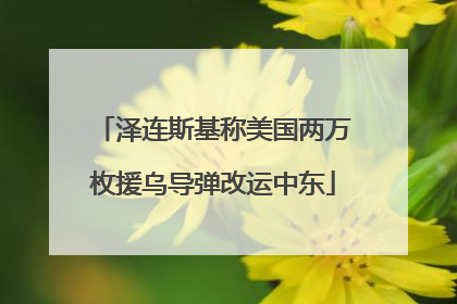 泽连斯基称美国两万枚援乌导弹改运中东