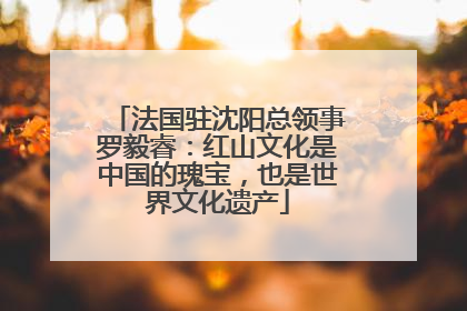 法国驻沈阳总领事罗毅睿：红山文化是中国的瑰宝，也是世界文化遗产