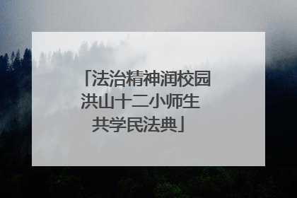 法治精神润校园 洪山十二小师生共学民法典