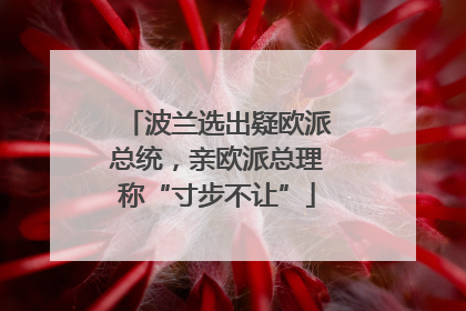波兰选出疑欧派总统，亲欧派总理称“寸步不让”