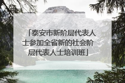 泰安市新阶层代表人士参加全省新的社会阶层代表人士培训班